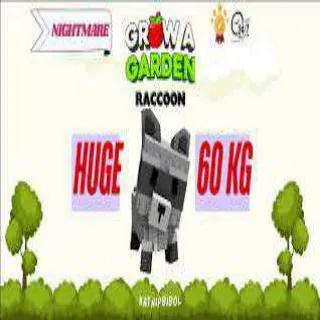HUGE RACCOON 60KG - GROW A GARDEN