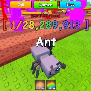 Ant - Roll A Gnome