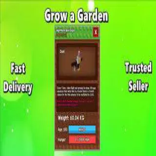 5X HUGE BALD EAGLE 60KG - GROW A GARDEN