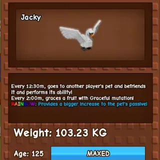 COLLOSAL RAINBOW SWAN 100KG - GROW A GARDE