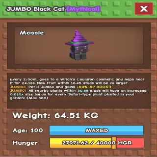 JUMBO BLACK CAT 64KG (GAG)