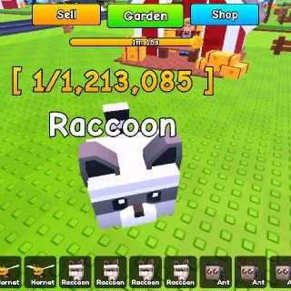 5x Raccoon - Roll A Gnome