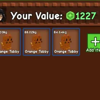 3X TITANIC ORANGE TABBY 80KG - GROW A GARDEN