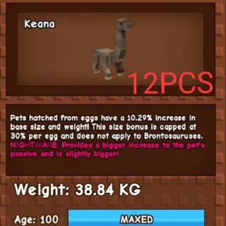 NIGHTMARE BRONTO 38KG (12PCS=22USD) (GAG)