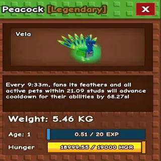 HUGE PEACOCK 54KG IF MAX(GAG)