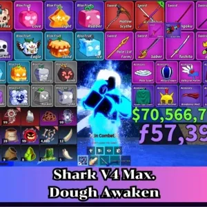 ✅Blox Fruit | Level 2800 Max. | Shark V4 Tier Max. | Godhuman+CDK | Unverified Account