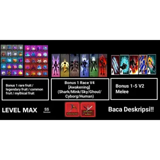 ⭕MAX LEVEL ACCOUNT BONUS 1 RACE V4 AWAKENING