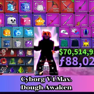 ✅Blox Fruit | Level 2800 Max. | Cyborg V4 Tier Max. | Godhuman+CDK | Unverified Account