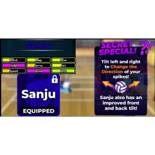Sanju (Secret Style)  Volleyball Legends