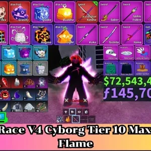 Blox Fruit | Level 2800 Max. | Cyborg V4 Tier Max. | Godhuman+CDK | Unverified Account