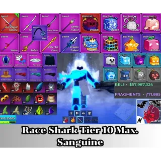 ✅ Blox Fruit | Level 2800 Max. | Shark V4 Tier Max. | Sanguine art+Godhuman+ CDK | Unverified Account 
