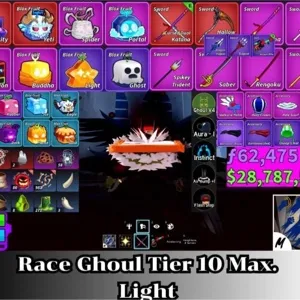 ✅Blox Fruit | Level 2800 Max. | Ghoul V4 Tier Max. | Godhuman+CDK | Unverified Account