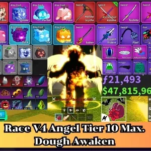 ✅Blox Fruit | Level 2800 Max. | Angel V4 Tier Max. | Sanguine art+Godhuman+CDK | Unverified Account