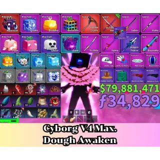  Blox Fruit | Level 2800 Max. | Cyborg V4 Tier Max. | Sanguine art+Godhuman+CDK | Unverified Account