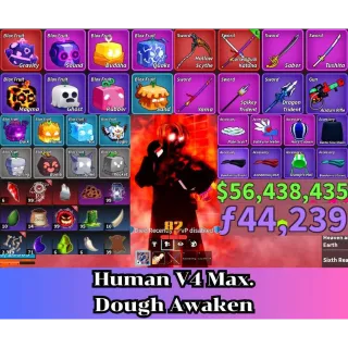 Blox Fruit | Level 2800 Max. | Human V4 Tier Max. | Godhuman+CDK | Unverified Account 