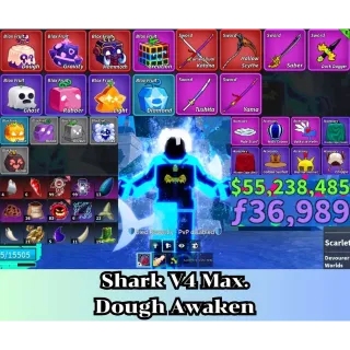 Blox Fruit | Level 2800 Max. | Shark V4 Tier Max. | Sanguine art+Godhuman+CDK | Unverified Account