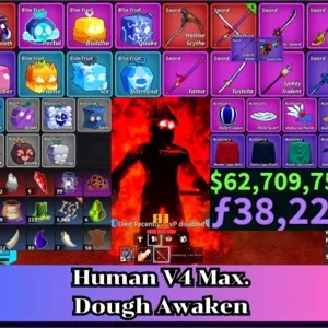 ✅Blox Fruit | Level 2800 Max. | Human V4 Tier Max. | Godhuman+CDK | Unverified Account