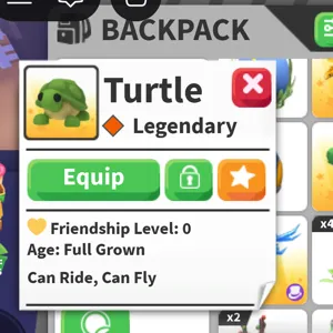 FR Turtle