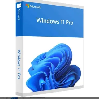 Windows 11