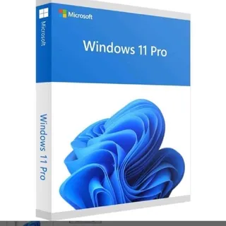 Windows 11