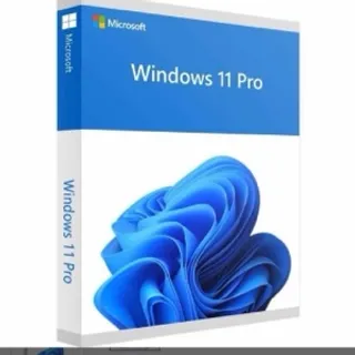 Windows 11