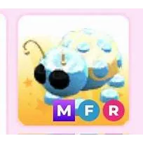 MFR DIAMOND LADYBUG