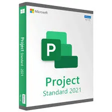 Project Standard 2021 Key – Lifetime