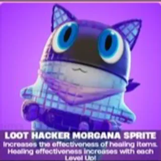 Loothacker morgana