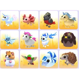 Random Pets x 24