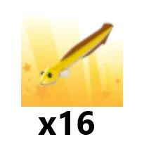 Eel x 16