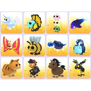 Random Pets x 24