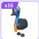 Cassowary x 16