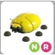 NR Giant Gold Scarab