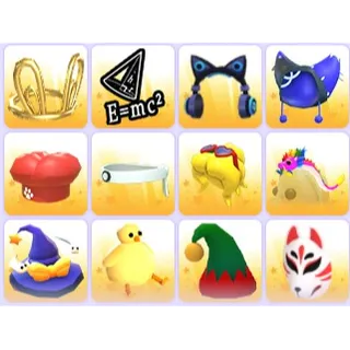 Pet Wear x 36