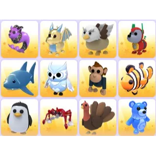 Random Pets x 24