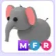 MFR Elephant