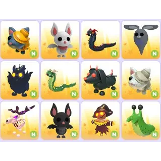 Neon Halloween Pets x 12