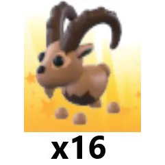 Ibex x 16