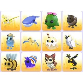 Random Pets x 24