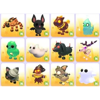 Neon Halloween Pets x 12