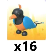 Bird Of Paradise x 16