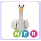 NFR Swan