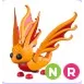 NR Sunglider