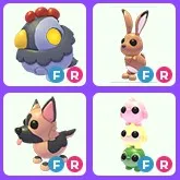 Fly Ride Pets x 4