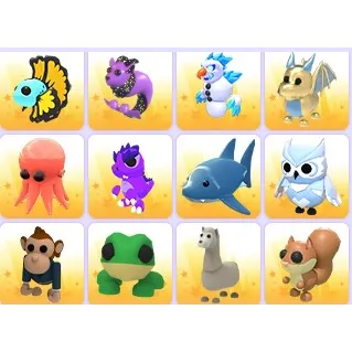 Random Pets x 24
