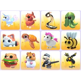 Random Pets x 24
