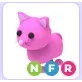 NFR Pink Cat