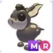 MR Cute-A-Cabra