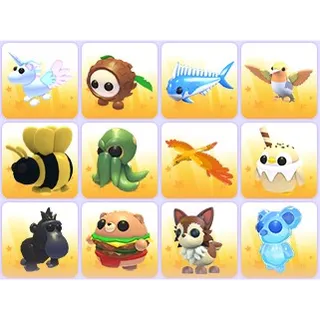 Random Pets x 24
