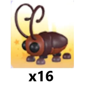 Cockroach x 16